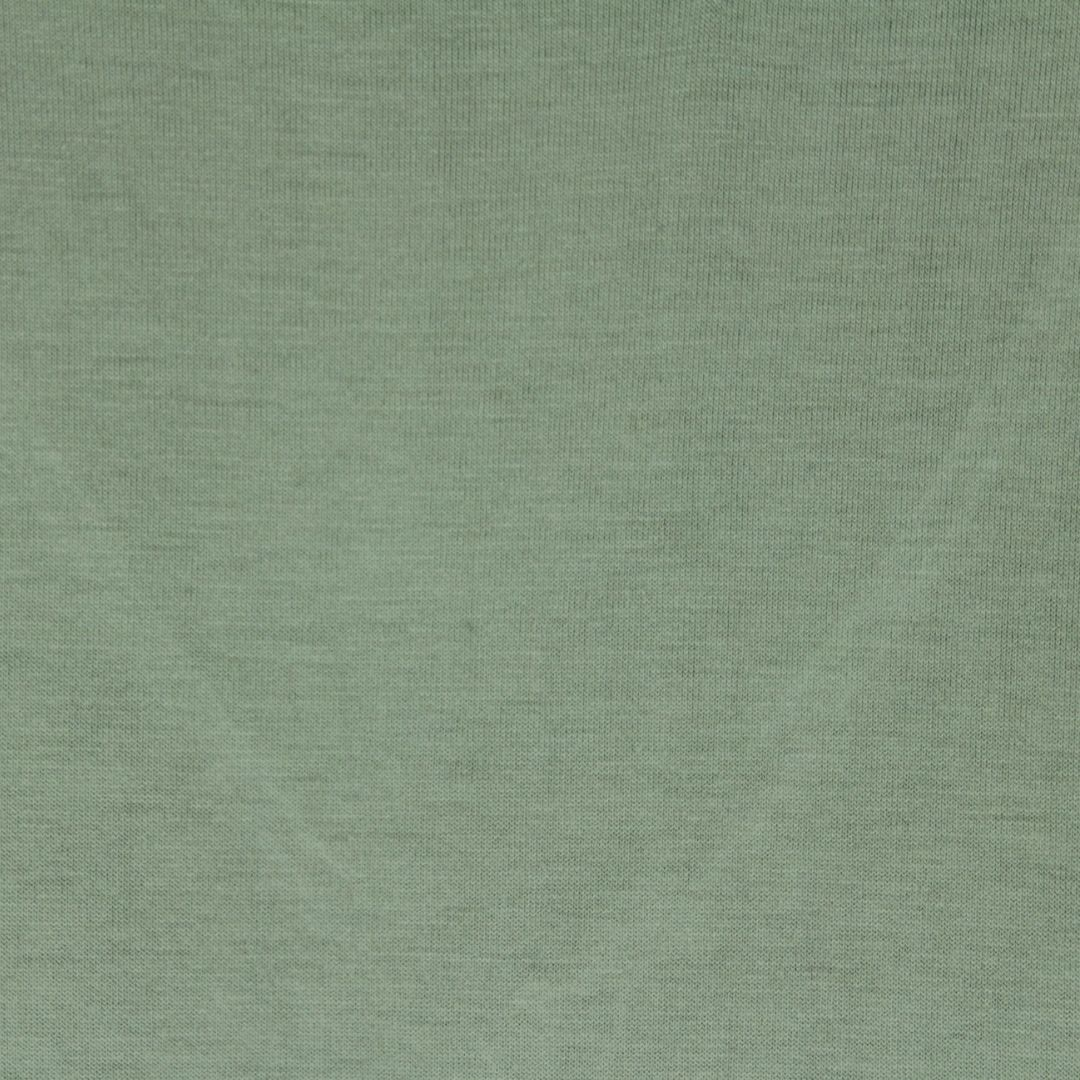 Polera Image